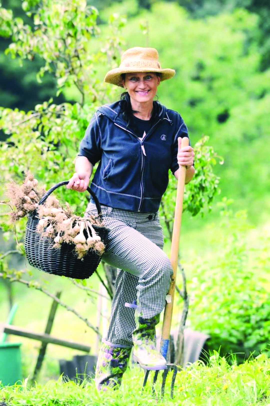 Culinary tour in Slovenia